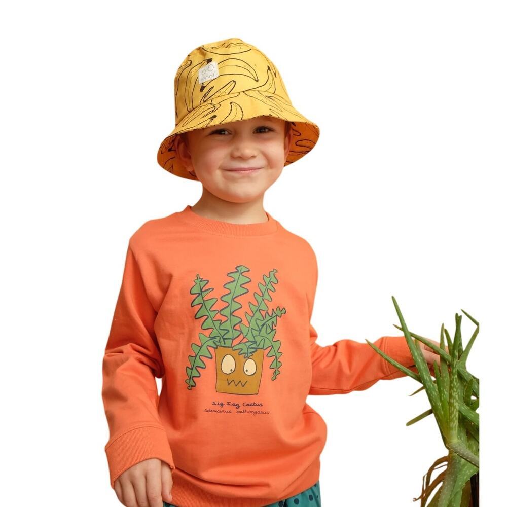 Indikidual Orange Zig Zag Cactus Long Sleeve Sweatshirt Size 2/3y NWT